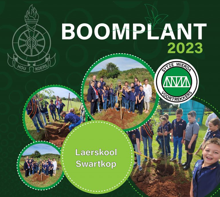 Facebook boomplant-01